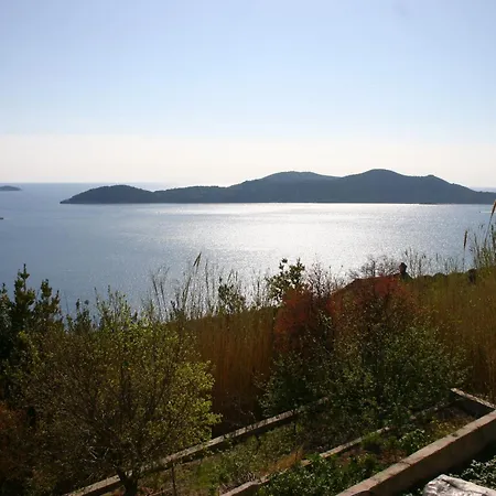 Druskovic * Orašac