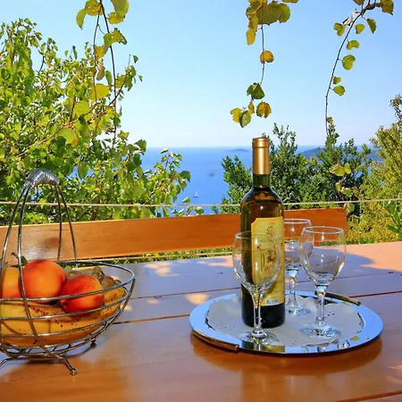 Druskovic Apartament *
