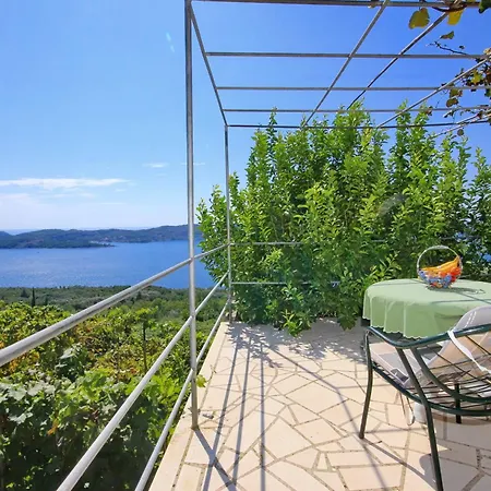 Druskovic * Орашац