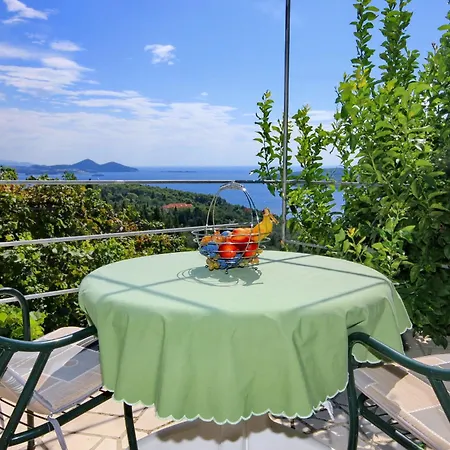 Apartman Druskovic Orašac